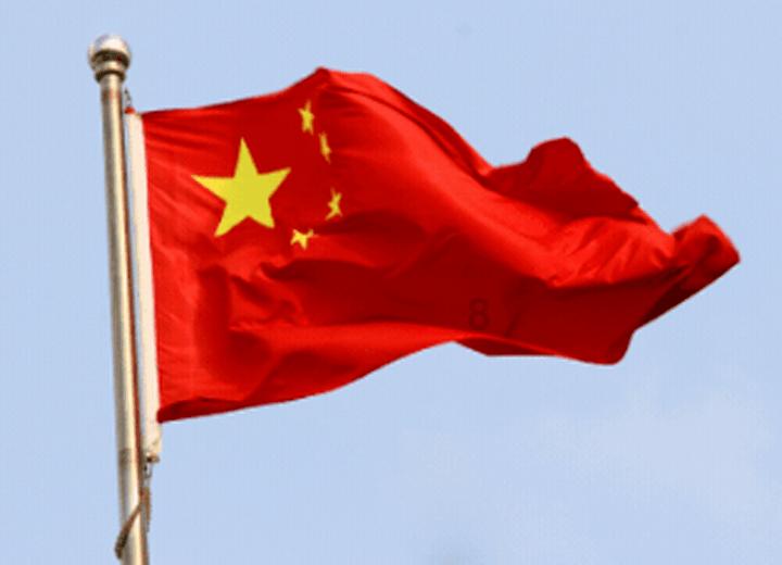 深度学习·茶花什么时候开花啊?,知识星球平台